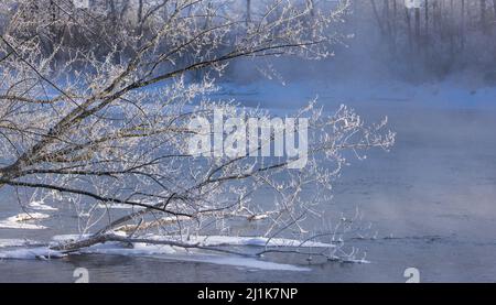 Nebliger Nebel, der an einem kalten Morgen im Norden von Wisconsin vom Chippewa River aufsteigt. Stockfoto