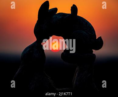 STALYBRIDGE, GROSSBRITANNIEN. Der Sonnenuntergang über dem Großraum Manchester, betrachtet durch ein Kaninchen-Ornament in einem Garten auf dem Ridge Hill in Tameside, Großbritannien. Datum: 25/03/22. Stockfoto