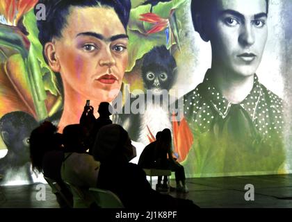 Pittsburgh, USA. 26. März 2022. Gäste beobachten die Immersive Frida Kahlo Ausstellung während ihrer VIP-Eröffnungsveranstaltung in Pittsburgh am Freitag, den 25. März 2022. Die 360-Grad-Erfahrung teilt den Ausstellungsraum mit der Original Immersive Van Gogh Ausstellung, die Ende 2021 eröffnet wurde. Foto von Archie Corper/UPI Credit: UPI/Alamy Live News Stockfoto