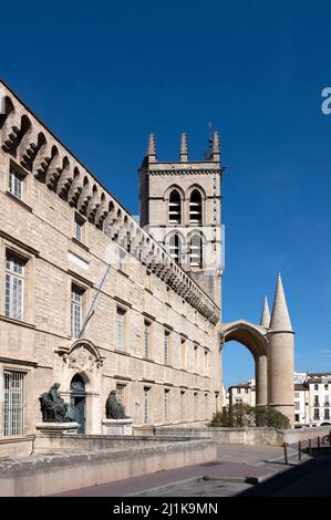 Die Universität von Montpellier verfügt über die älteste medizinische Schule der Welt. Daneben: Cathédrale Saint-Pierre de Montpellier. Stockfoto