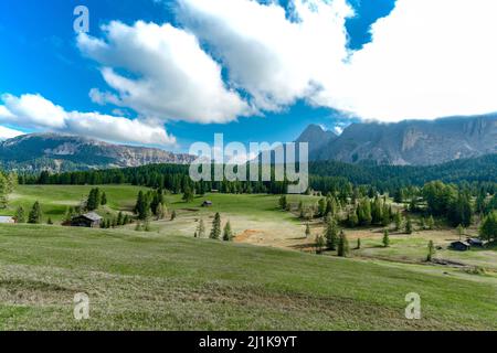 Pra de Armentara - Wanderung entlang der Armentara Alpinwiesen in Südtirol Stockfoto