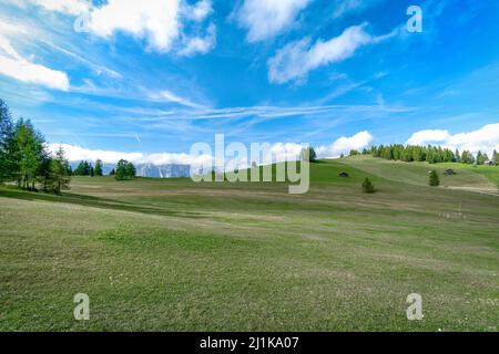 Pra de Armentara - Wanderung entlang der Armentara Alpinwiesen in Südtirol Stockfoto