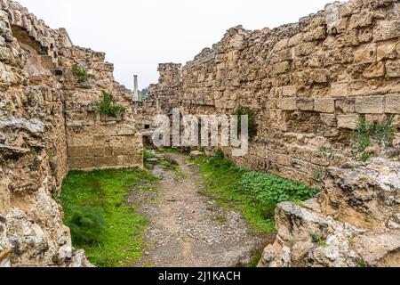 Ruinen von Salamis in Yeni Boğaziçi, Türkische Republik Nordzypern (TRNC) Stockfoto