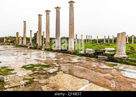 Ruinen von Salamis in Yeni Boğaziçi, Türkische Republik Nordzypern (TRNC) Stockfoto