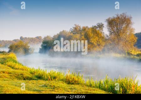 Fantastischer, nebliger Fluss mit frischem, grünem Gras in den sonnigen Strahlen. Dramatische, farbenfrohe Landschaft. Seret River, Ternopil. Ukraine, Europa. Beauty-Welt. Stockfoto