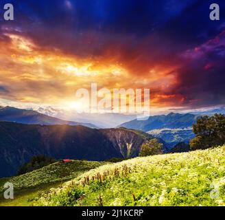 Majestätischer Blick auf alpine Wiesen mit bunt bewölktem Himmel am Fuße des Mt. Ushba. Oberes Svaneti, Georgien, Europa. Kaukasus. Beauty-Welt. Stockfoto