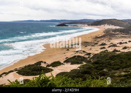 Der große Sandstrand im Osten Zyperns in der Nähe von Dipkarpaz ist ein bevorzugtes Brutgebiet für die Karettschildkröte (Caretta caretta) Stockfoto