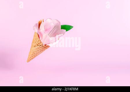 Sommer minimal schwebendes Konzept. Fliegende Eis-Membran mit rosa Tulpenblüten auf rosa Hintergrund. Kreativer Frühling Minimales Konzept zum Geburtstag, val Stockfoto