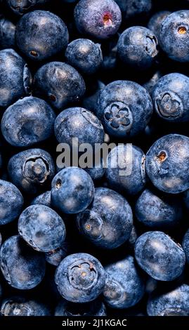 Blick von oben auf den Haufen frischer Waldfrüchte. Full-Frame-Aufnahme der natürlichen Quelle von Vitaminen und Antioxidantien. Stockfoto