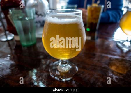 Friday Harbor, WA USA - ca. November 2021: Nahaufnahme, selektiver Fokus auf ein kaltes, schaumiges Glas Bier in der San Juan Island Brewery. Stockfoto