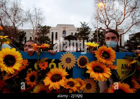 Madrid, Spanien. 24. März 2022. Madrid, Spanien; 24.03.2022.- Demonstration vor der russischen Botschaft im Königreich Spanien, einen Monat nach dem russischen Einmarsch in die Ukraine. Organisiert von Amnesty International und die Teilnehmer trugen Sonnenblumen, die repräsentative Blume der Ukraine. Quelle: Juan Carlos Rojas/Picture Alliance/dpa/Alamy Live News Stockfoto