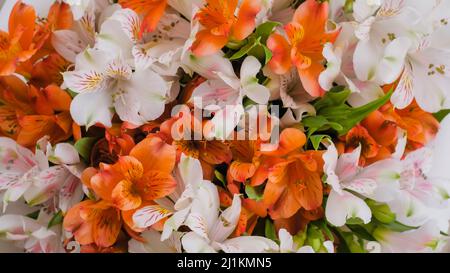 Bouquet von orangen und weißen Alstroemeria-Blumen: Nahaufnahme von oben Stockfoto