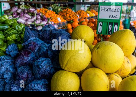 Ein Haufen großer gelber Pomelos steht vor einem handgeschriebenen grünen Preisschild mit der Aufschrift „POMELO Adet 6.90“ (Türkisch für „Pomelo, pro Stück 6,90 Lira“) auf dem Obst- und Gemüsemarkt in Çatalköy (Griechisch: Agios Epiktitos), Türkische Republik Zypern (TRNC). Grüne Paprikaschoten und lila-weiß gestreifte Auberginen liegen links, während rechts im Hintergrund Mandarinen und roter Kohl zu sehen sind. Stockfoto