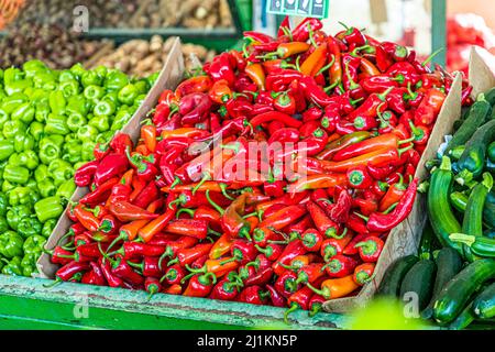 Ein dicht gehäufter Stapel leuchtend roter, spitzer Chili- und Paprikaschoten mit ihren noch anhaftenden grünen Stielen füllt eine Pappkiste auf dem Gemüsemarkt in Çatalköy (griechisch: Agios Epiktitos), Türkische Republik Zypern (TRNK). Grüne Paprikaschoten liegen links, dunkelgrüne Zucchini rechts. Stockfoto