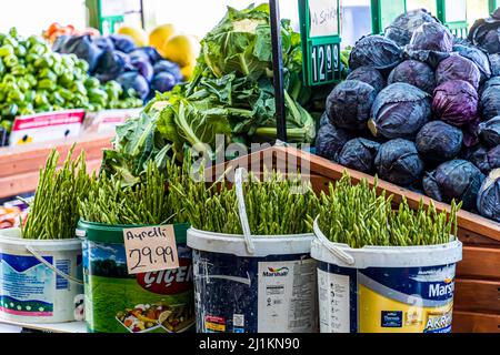 Wilder Spargel auf dem Gemüsemarkt in Çatalköy, Türkische Republik Nordzypern (TRNC) Stockfoto