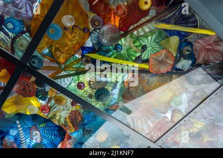 Tacoma, WA USA - ca. August 2021: Herrliche Sicht auf Glasskulpturen in der Decke des Außenstegs im Museum of Glass. Stockfoto