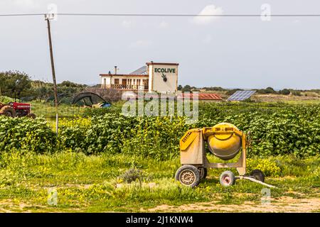 Im Dorf Akdeniz, was übersetzt Mittelmeer bedeutet, bekommt man einen Eindruck vom typischen zypriotischen Landleben. Auch das Olivenöl wird im Dorf selbst produziert Stockfoto