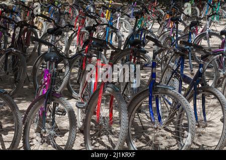 Fahrradverleih im Cobá Ruins Park, Mexiko Stockfoto