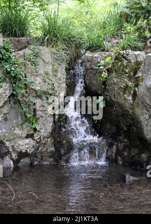 Kleiner Wasserfall im Wald Stockfoto