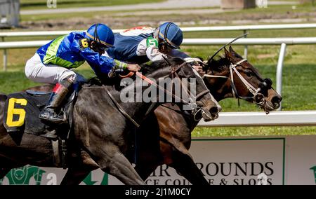 New Orleans, Louisiana, USA. 26. März 2022. 26. März 2022: Cosmic Train #5 mit Jockey James Graham gewinnt das Crescent City Derby auf der Unterkarte des Louisiana Derby Day auf der Fair Grounds Race Course and Slots in New Orleans, Louisiana am 26.. März 2022. Tim Sudduth/Eclipse Sportswire/CSM/Alamy Live News Stockfoto