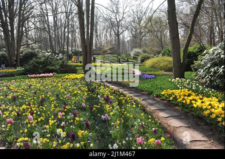 Keukenhof, Lisse, Niederlande. 26. März 2022. Der holländische Park der Zwiebelpflanzen Keukenhof hat nach einer zweijährigen Pause wieder geöffnet. Bild: Sergey Kalyakin/Alamy Live News - Bild ID: 2J1M467 Stockfoto