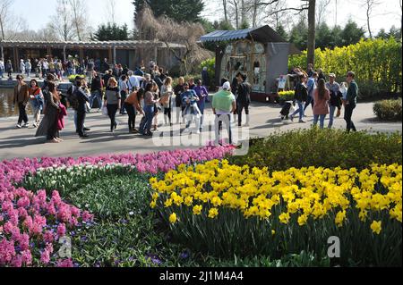 Keukenhof, Lisse, Niederlande. 26. März 2022. Der holländische Park der Zwiebelpflanzen Keukenhof hat nach einer zweijährigen Pause wieder geöffnet. Bild: Sergey Kalyakin/Alamy Live News - Bild ID: 2J1M4A4 Stockfoto