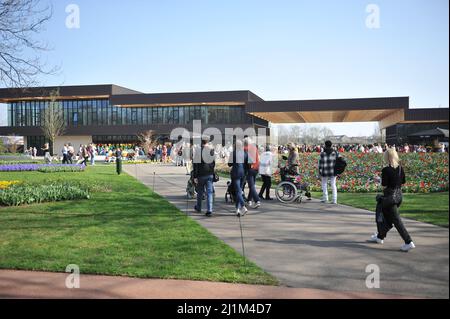 Keukenhof, Lisse, Niederlande. 26. März 2022. Der holländische Park der Zwiebelpflanzen Keukenhof hat nach einer zweijährigen Pause wieder geöffnet. Bild: Sergey Kalyakin/Alamy Live News - Bild ID: 2J1M4D7 Stockfoto