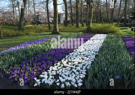 Keukenhof, Lisse, Niederlande. 26. März 2022. Der holländische Park der Zwiebelpflanzen Keukenhof hat nach einer zweijährigen Pause wieder geöffnet. Bild: Sergey Kalyakin/Alamy Live News - Bild-ID: 2J1M4JP Stockfoto