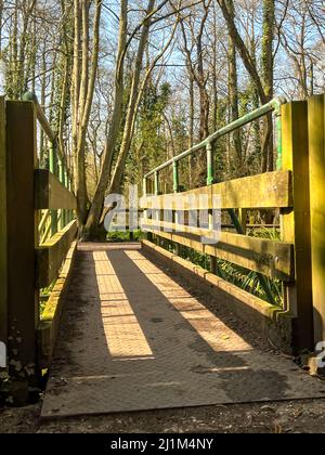 Eine hölzerne Fußgängerbrücke über den Fluss avon im Scotchel Nature Reserve, Pewsey Wiltshire Stockfoto