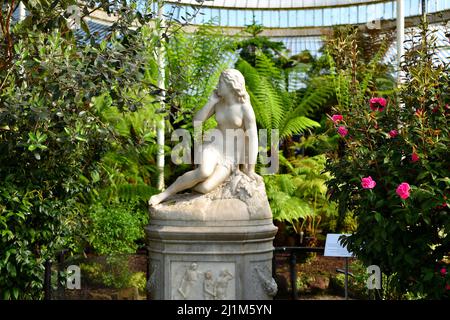 Glasgow Botanic Gardens Stockfoto