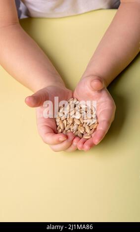 Eine Handvoll geschälter Samen in Kinderhandflächen Stockfoto