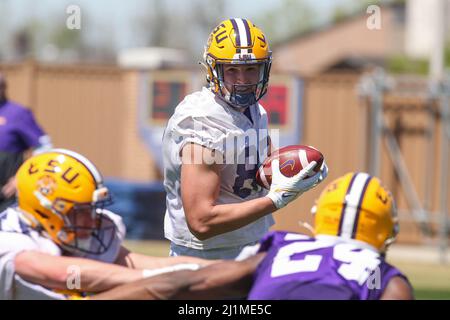 Baton Rouge, LA, USA. 26. März 2022. LSU Tight End Kole Taylor (87) bringt in der ersten Woche des Frühjahrstrainings einen Pass in die LSU Charles McClendon Übungsanlage in Baton Rouge, LA. Jonathan Mailhes/CSM/Alamy Live News Stockfoto