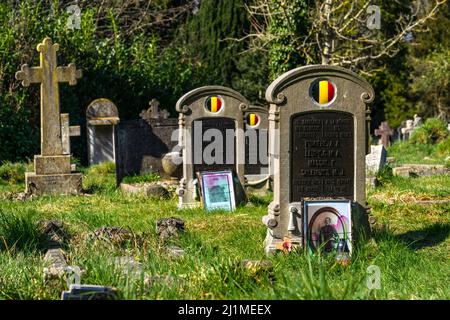 Der große Krieg WW1 Gräber gefallener belgischer Soldaten und Erinnerungsstücke auf dem Old Cemetery on the Common in Southampton, Hampshire, England, Großbritannien Stockfoto