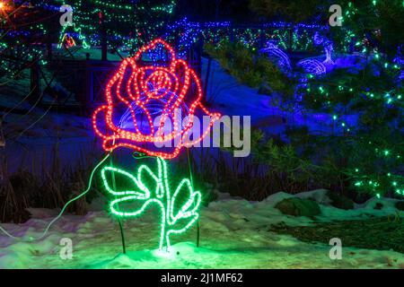 Ausstellung beim jährlichen Zoolights Event des Calgary Zoos, das von Ende November bis Anfang Januar stattfindet, im Calgary Zoo, Calgary, Alberta, Dezember 18, 2019. Stockfoto