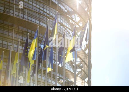 Die ukrainische Flagge fliegt neben der Europaflagge vor den Büros des Parlamentsgebäudes. Russland setzt seinen Angriff auf die wichtigsten Städte der Ukraine eine Woche nach dem Start einer groß angelegten Invasion des Landes fort Stockfoto