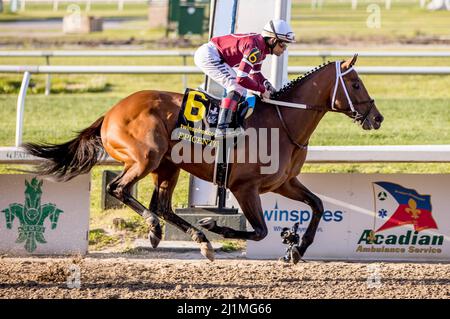 New Orleans, Louisiana, USA. 26. März 2022. 26. März 2022: Epizentrum #6, geritten von Jockey Joel Rosario gewinnt das Louisiana Derby (Grad 2) am Louisiana Derby Day auf Fair Grounds Race Course and Slots in New Orleans, Louisiana am 26.. März 2022. Tim Sudduth/Eclipse Sportswire/CSM/Alamy Live News Stockfoto