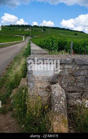 Berühmte clos Pinnot noir Weinberge mit Steinmauern in der Nähe von Nuits-Saint-Georges in der Weinregion Burgund, Frankreich Stockfoto