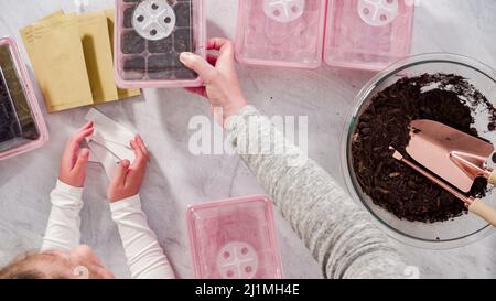 Flach liegend. Kleines Mädchen hilft Pflanzen Samen in Saatgutvermehrer mit Boden. Stockfoto