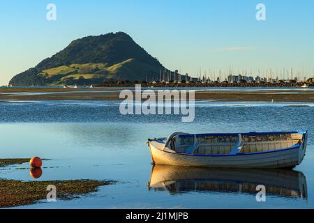 Ein Ruderboot im Hafen von Tauranga, Neuseeland, mit dem Mount Maunganui (Mauao) im Hintergrund Stockfoto