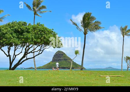 Ein malerischer Strand der Kaneohe Bay mit der Insel Kapapa, Oahu HI Stockfoto