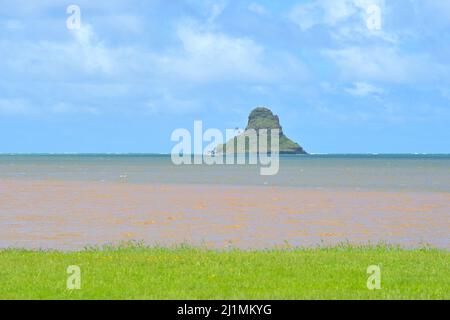 Ein malerischer Strand der Kaneohe Bay mit der Insel Kapapa, Oahu HI Stockfoto