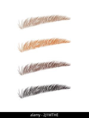 Weibliche Augenbrauen in verschiedenen Farben. Blonde, rote und dunkle Haare. Brauen im Sable-Stil. Linearer Vektor Illustration im trendigen minimalistischen Stil. Stirn Stock Vektor