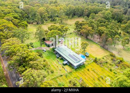 Abgeschiedene grüne Landwirtschaft Farm und Haus in Kaugummiwäldern an der australischen Zentralküste, Luftlandschaft. Stockfoto