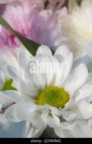 Digitale Malerei der weißen Gerbera Blume in Blüte in einem natürlichen Garten mit geringer Tiefenschärfe. Stockfoto