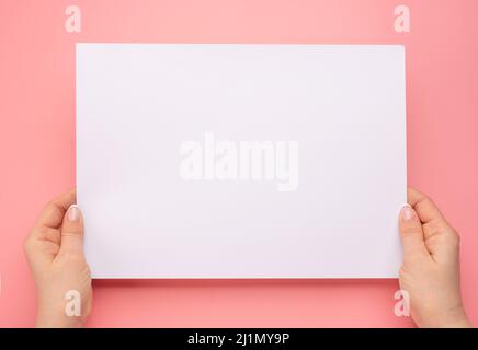 Weibliche Hände halten leeres Papier isoliert auf rosa Hintergrund. Frau Hände mit Mockup leeres Papier Blatt auf rosa Hintergrund. Hände mit leerem Werbespot Stockfoto