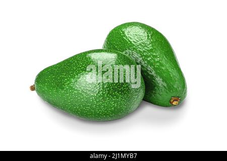 Zwei Avocados isoliert auf weißem Hintergrund mit Schatten. Frische reife tropische Frucht Avocado. Sauber ohne Staub. Avocado-Makroaufnahmen im Studio Stockfoto