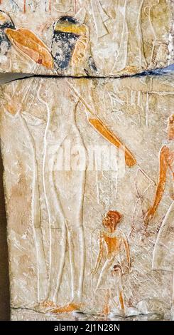 Kairo, Ägyptisches Museum, Relief von Merya und Sitti, gefunden in Saqqara : berühmt für die Musiker und die hellen Farben. Stockfoto