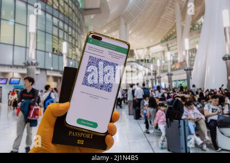 Impfpass in Handy-App und Reisepass erforderlich, um während des Coronavirus covid-19 omicron Flugzeug, Zug, Schnellbahn und Boot zu nehmen Stockfoto