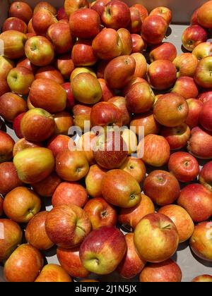 Große Auswahl an frischem Obst und Gemüse auf dem Markt Zähler Stockfoto
