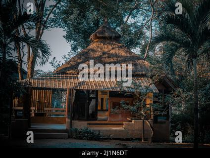 Wunderschöner Blick auf das Sommerhaus aus Holz oder den Sommerbungalow aus Holz, umgeben von einem wunderschönen tropischen Park. Selektiver Fokus. Stockfoto